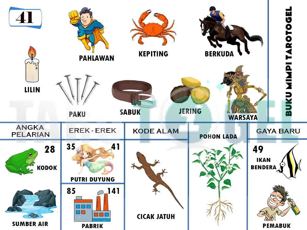 buku mimpi erek erek togel 41