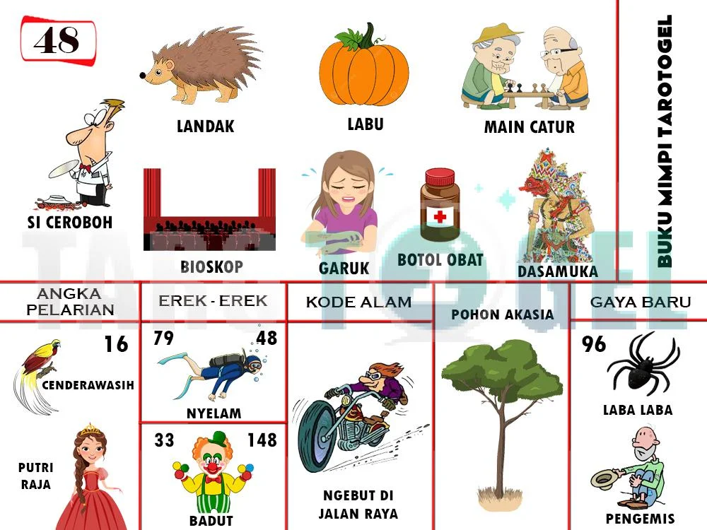 buku mimpi erek erek togel 48