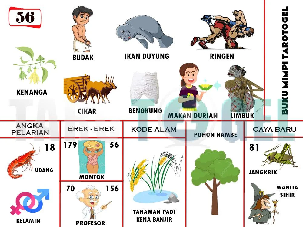 buku mimpi erek erek togel 56